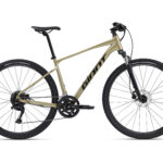 Rower crossowy Roam 2 Giant