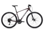Rower crossowy Roam 2 Giant