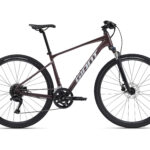 Rower crossowy Roam 2 Giant